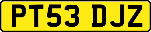 PT53DJZ