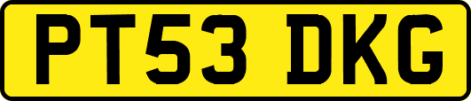 PT53DKG