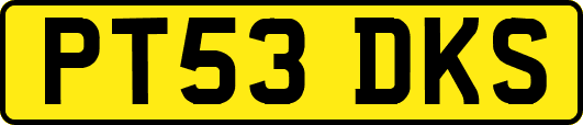 PT53DKS