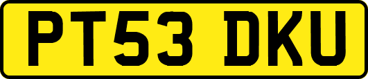 PT53DKU