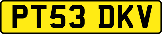 PT53DKV