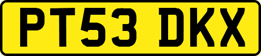 PT53DKX