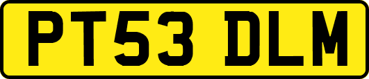 PT53DLM