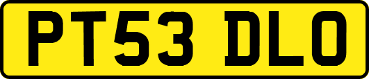 PT53DLO