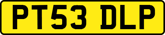 PT53DLP