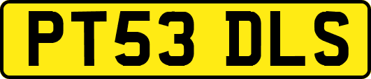 PT53DLS