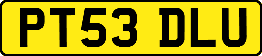 PT53DLU
