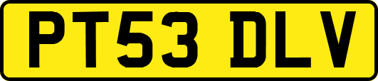PT53DLV