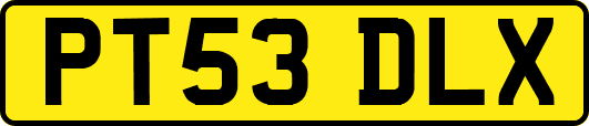PT53DLX