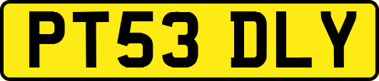 PT53DLY