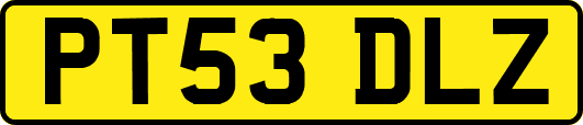 PT53DLZ