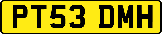 PT53DMH