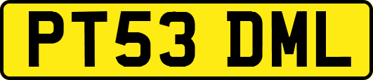PT53DML