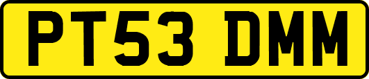 PT53DMM