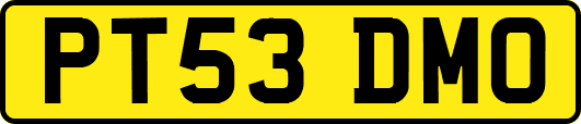PT53DMO