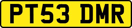 PT53DMR