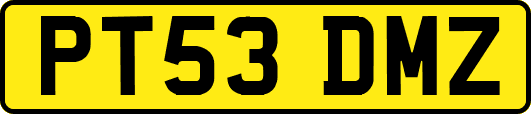 PT53DMZ