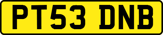 PT53DNB