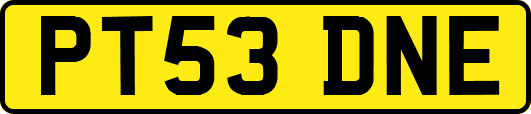 PT53DNE