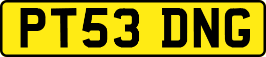 PT53DNG