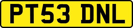 PT53DNL