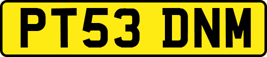 PT53DNM