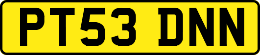 PT53DNN