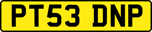 PT53DNP