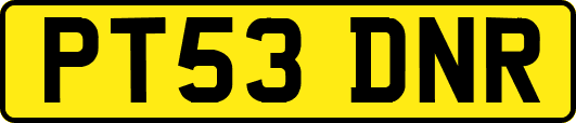 PT53DNR