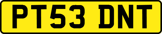 PT53DNT