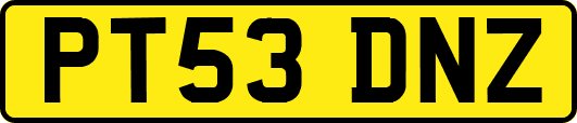 PT53DNZ
