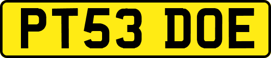 PT53DOE