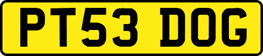 PT53DOG
