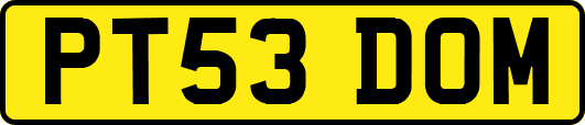 PT53DOM