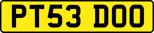 PT53DOO
