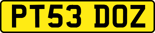 PT53DOZ