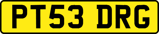 PT53DRG