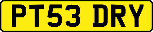 PT53DRY