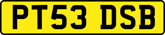 PT53DSB