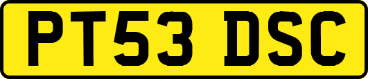 PT53DSC