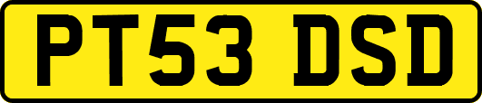 PT53DSD