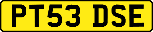 PT53DSE
