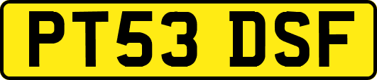 PT53DSF