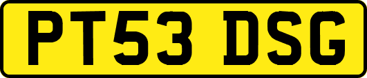 PT53DSG