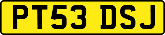 PT53DSJ