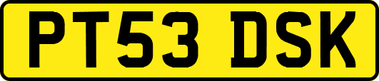 PT53DSK
