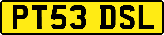 PT53DSL
