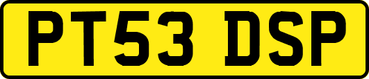 PT53DSP