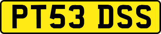 PT53DSS