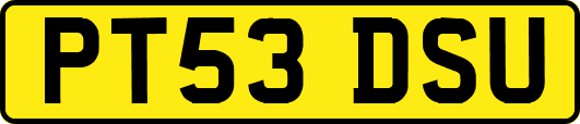 PT53DSU